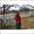 Whitney's Photo